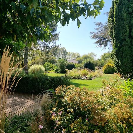 Chambre Hote Avec Piscine - La Vialatte Gaillac Zewnętrze zdjęcie